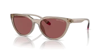 ARMANI EXCHANGE 4130SU 824069 56