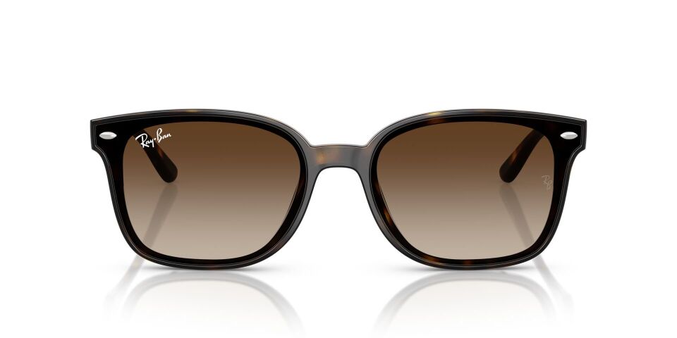 Ray Ban RB4461D 64 G Unisex Güneş Gözlüğü