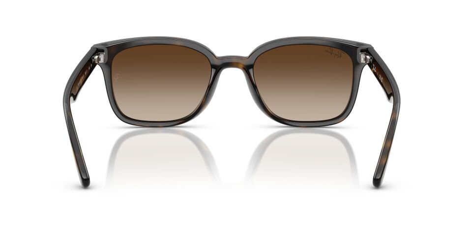 Ray Ban RB4461D 64 G Unisex Güneş Gözlüğü