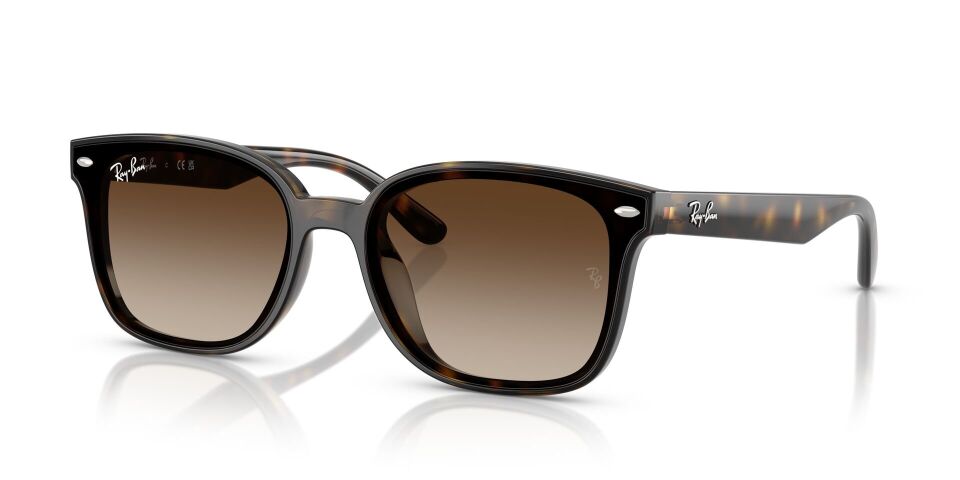 Ray Ban RB4461D 64 G Unisex Güneş Gözlüğü