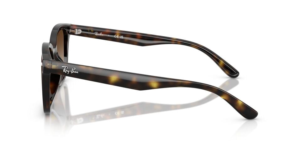 Ray Ban RB4461D 64 G Unisex Güneş Gözlüğü