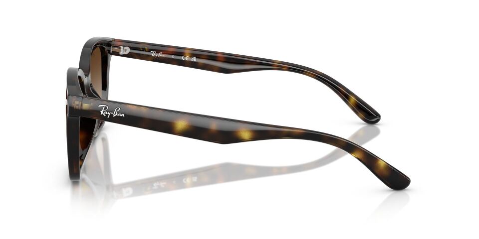 Ray Ban RB4461D 64 G Unisex Güneş Gözlüğü