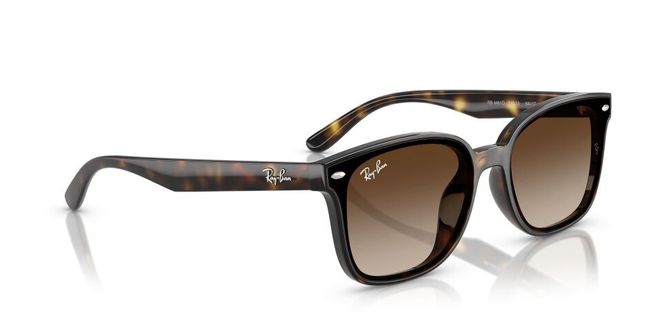 Ray Ban RB4461D 64 G Unisex Güneş Gözlüğü