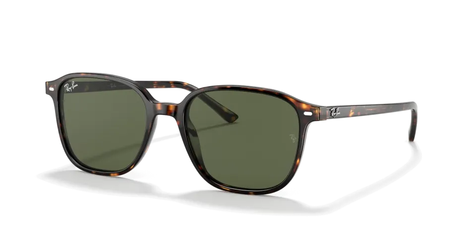 Ray Ban RB2193 LEONARD 902/31 53 G Unisex Güneş Gözlüğü