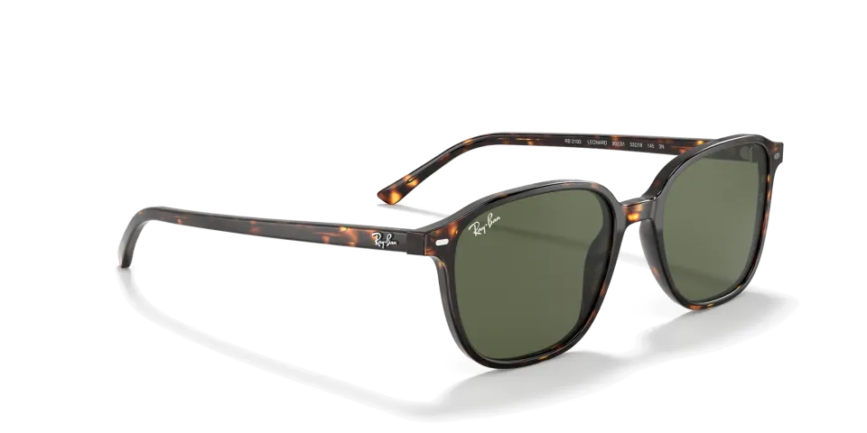Ray Ban RB2193 LEONARD 902/31 53 G Unisex Güneş Gözlüğü