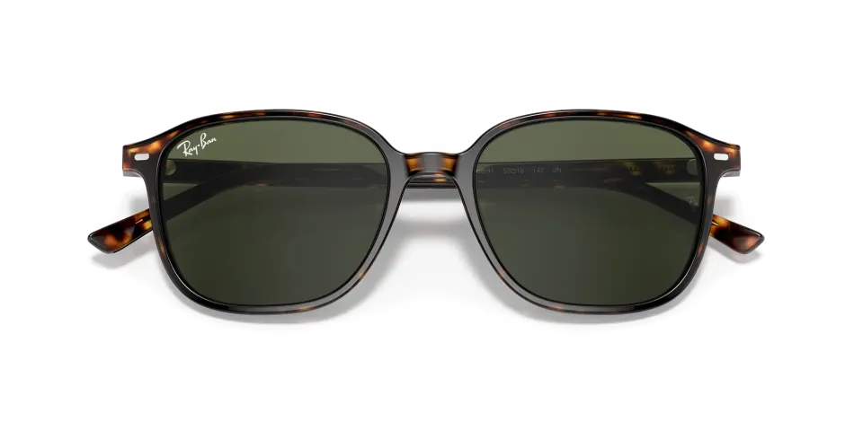 Ray Ban RB2193 LEONARD 902/31 53 G Unisex Güneş Gözlüğü
