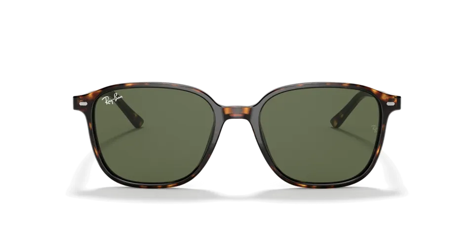 Ray Ban RB2193 LEONARD 902/31 53 G Unisex Güneş Gözlüğü