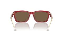 EMPORIO ARMANI EA 4224 609373 57