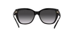 EMPORIO ARMANI EA 4198 50178G 55
