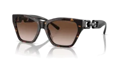 EMPORIO ARMANI EA 4203U 502613 55