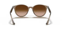 RAY-BAN 4305 616613 53 G