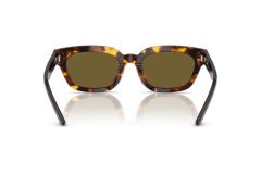 EMPORIO ARMANI EA 4233U 618173 53