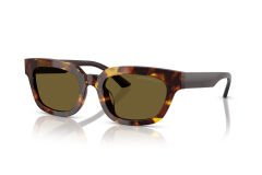 EMPORIO ARMANI EA 4233U 618173 53