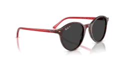 RAY-BAN 2230 - BERNARD 141948 51